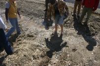 Photo Library - 022