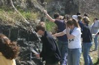 Photo Library - 040