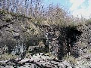 P1010042.JPG