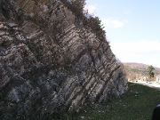 P1010050.JPG