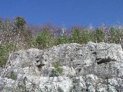 P1010061.JPG