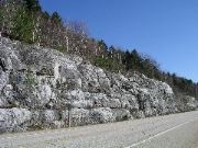 P1010062.JPG