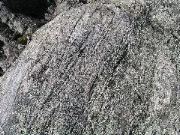 P1010069.JPG
