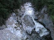 P1010077.JPG