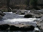 P1010110.JPG