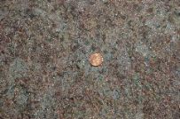Photo Library - 116