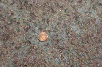 Photo Library - 117