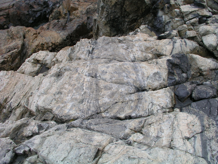 P1010022.JPG
