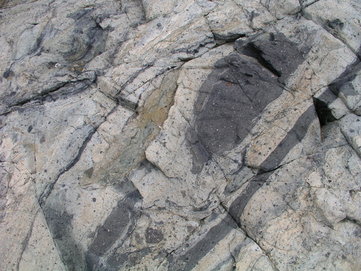 P1010023.JPG