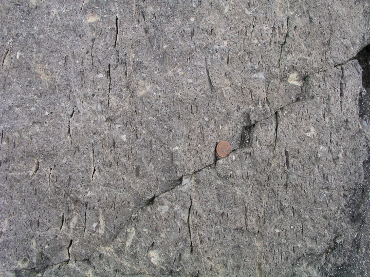 P1010024.JPG