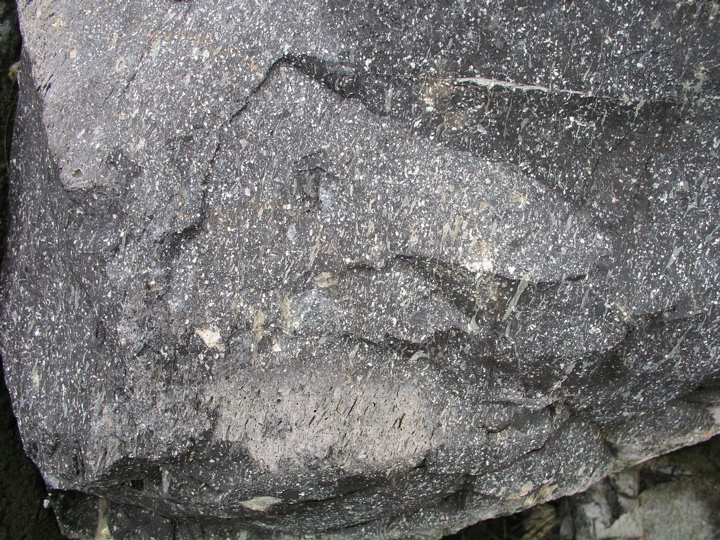 P1010025.JPG