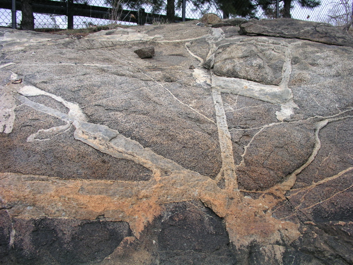 P1010037.JPG