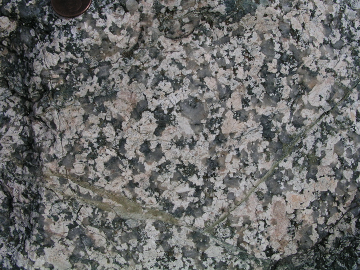 P1010011.JPG