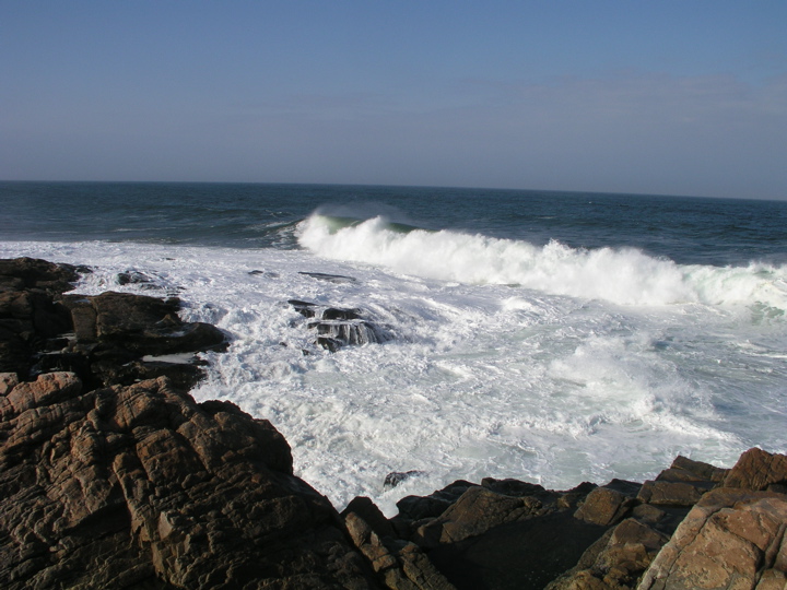 P1010067.JPG