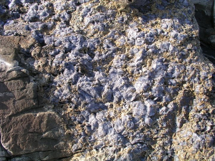 P1010069.JPG