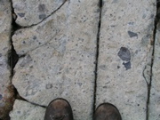 P1010017.JPG