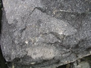 P1010025.JPG