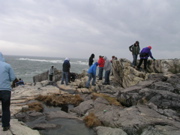 P1010027.JPG