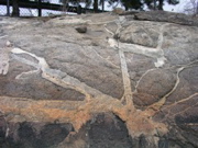 P1010037.JPG