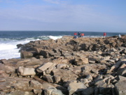 P1010058.JPG