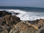 P1010064.JPG
