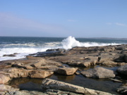 P1010068.JPG