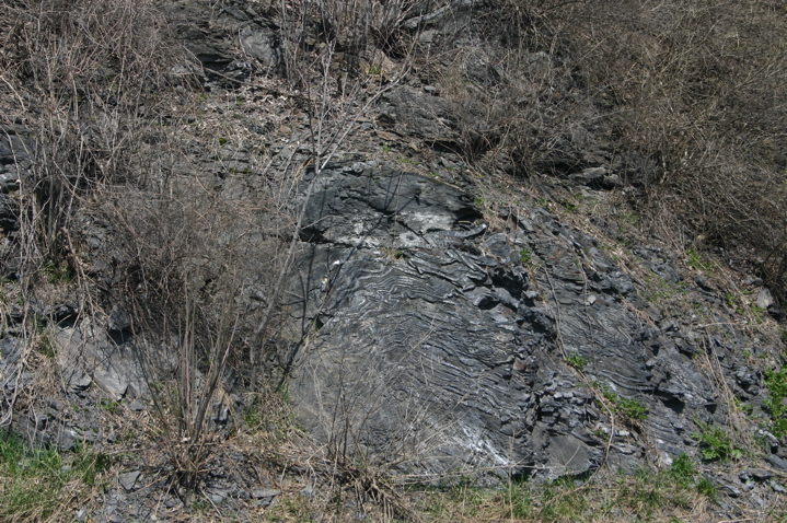 IMG_4292.JPG