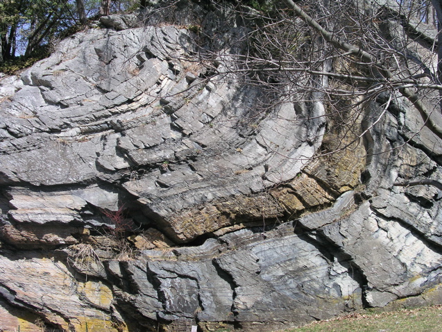 P1010018.JPG