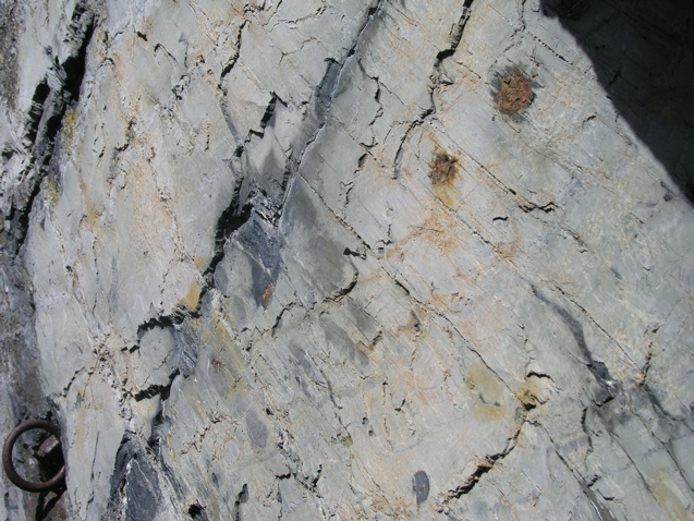 P1010020.JPG