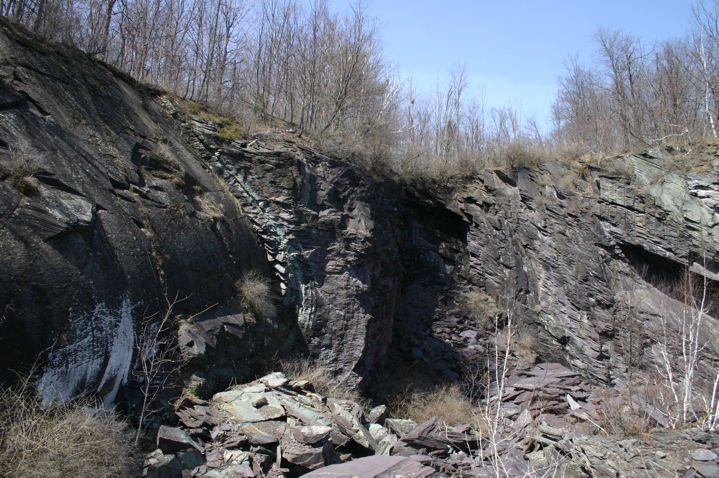 IMG_4311.JPG