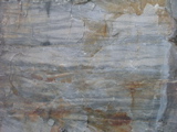 P1010012.JPG