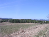 P1010016.JPG