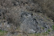 IMG_4292.JPG