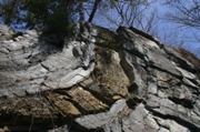 IMG_4295.JPG