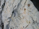 P1010020.JPG