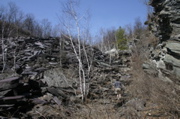 IMG_4302.JPG
