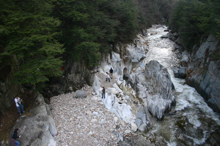 IMG_4339.JPG