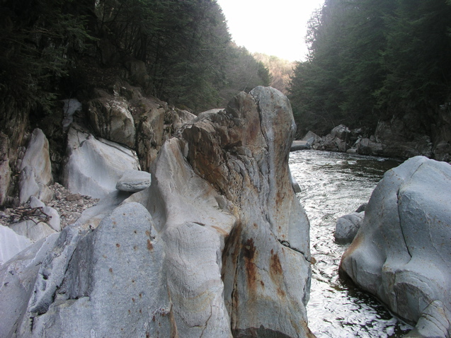 P1010034.JPG