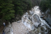 IMG_4339.JPG
