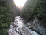 P1010038.JPG