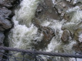 P1010040.JPG