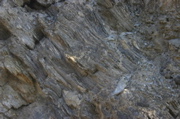 IMG_1987
