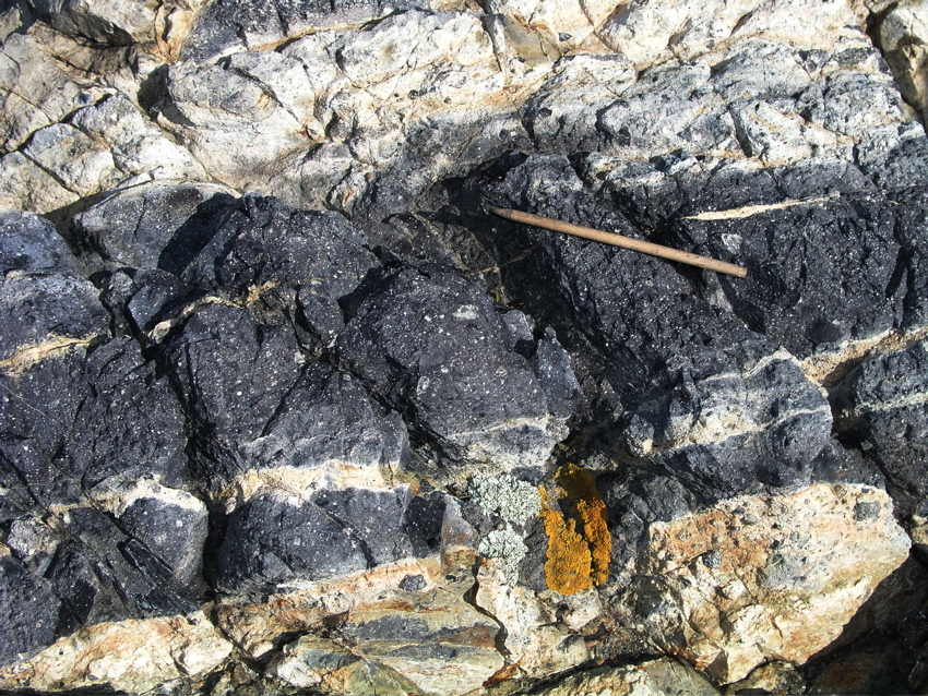 P1010031.JPG