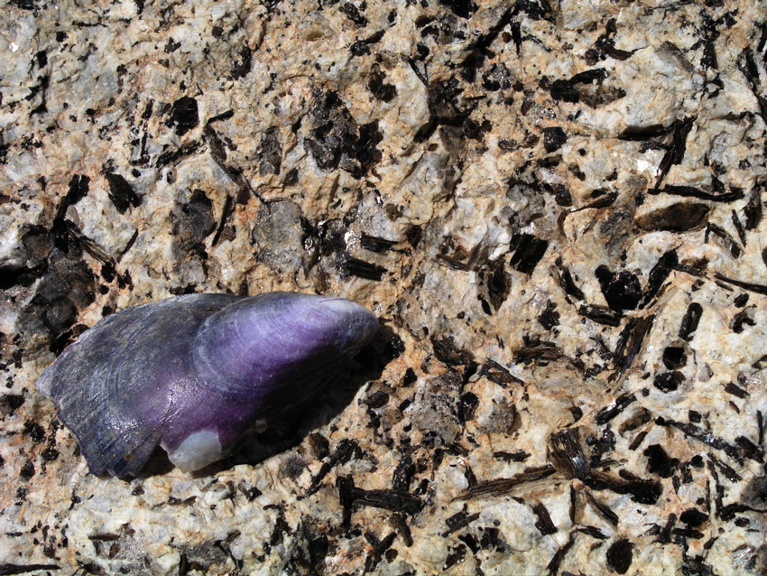 P1010037.JPG