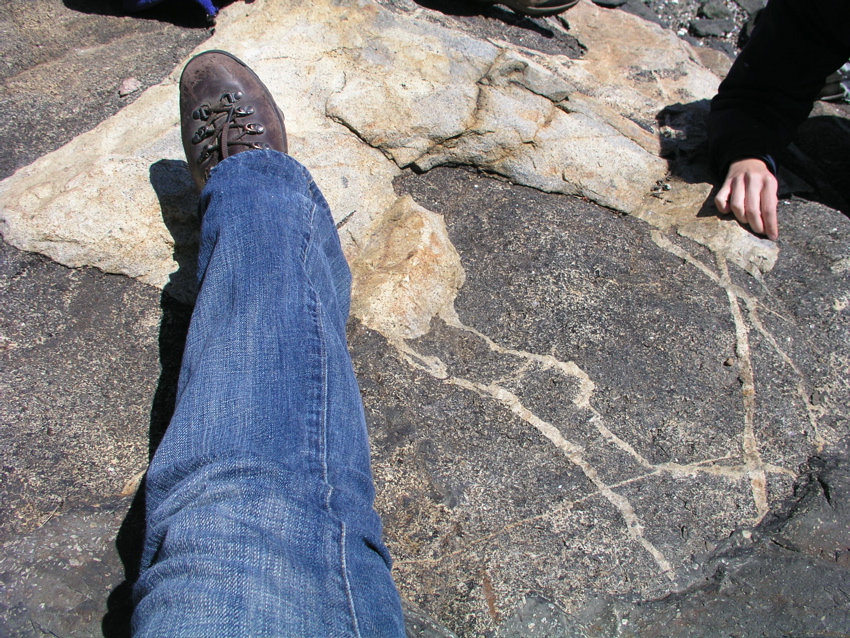 P1010039.JPG