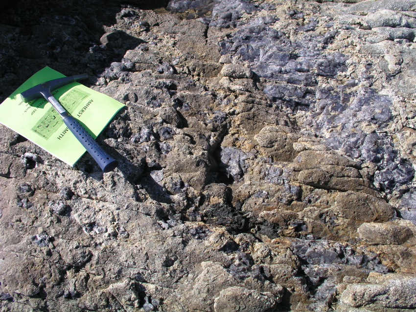 P1010042.JPG