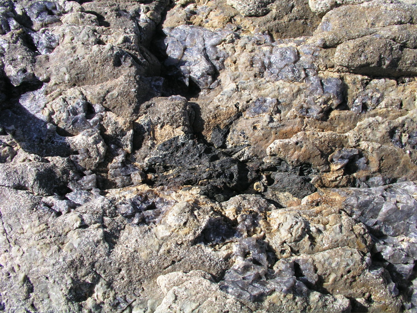P1010043.JPG