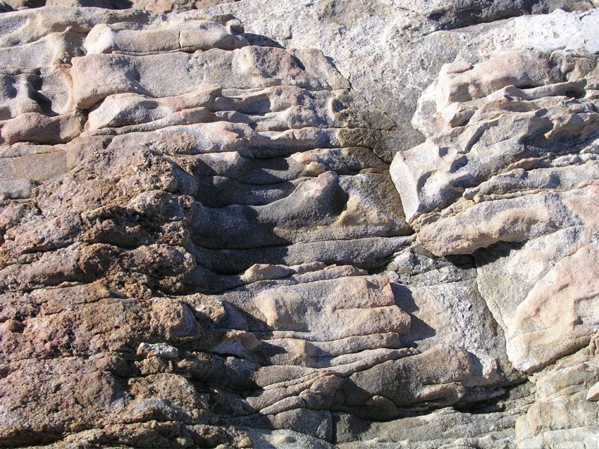 P1010046.JPG