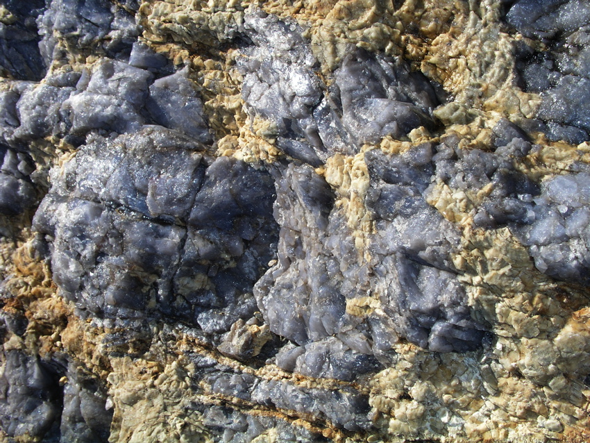 P1010047.JPG