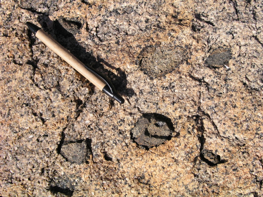 P1010053.JPG